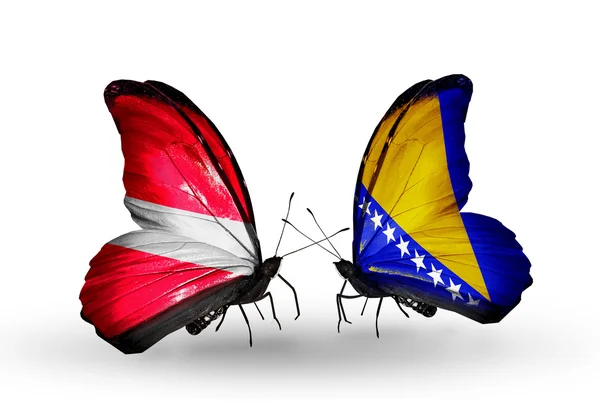 Two butterflies with flags of Latvia and Bosnia and Herzegovina — Stock Photo, Image