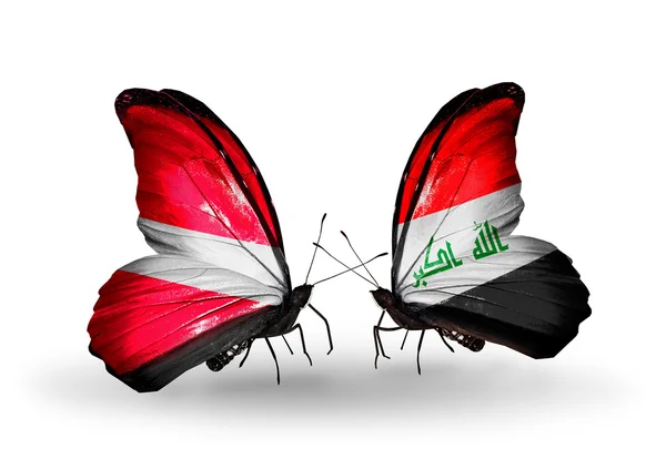 Two butterflies with flags of Latvia and  Iraq — Stock Photo, Image