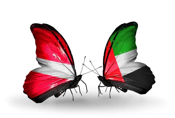 Бабочки с флагами Латвии и Объединенных Арабских Эмиратов — стоковое фото