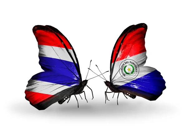 Butterflies with flags on wings of Thailand and Paraguay — Stock Photo, Image