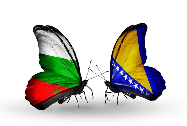 Butterflies with Bulgaria and Bosnia and Herzegovina flags on wings — Stock Photo, Image