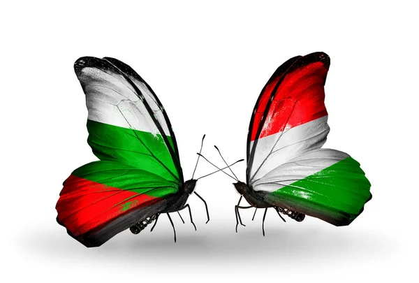 翼にブルガリアとハンガリー フラグと蝶 — ストック写真