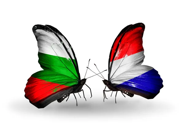 Butterflies with Bulgaria and Holland flags on wings — Stock Photo, Image