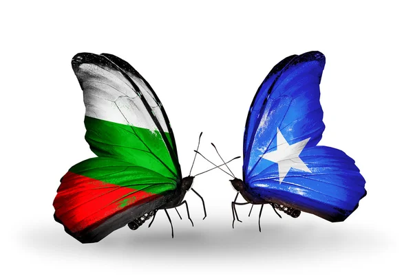 蝴蝶翅膀上的保加利亚和索马里国旗 — 图库照片