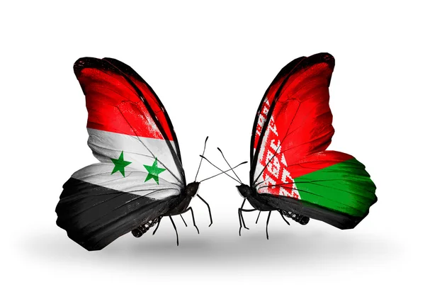 Butterflies with Syria and Belarus flags on wings — Stock Photo, Image