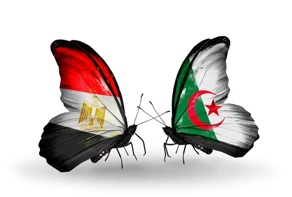 Butterflies with flags of Egypt and Algeria — Stock Photo, Image