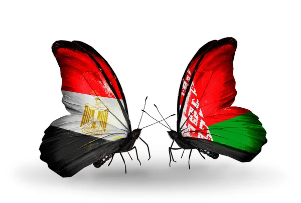 Butterflies with flags of Egypt and Belarus — Stock Photo, Image