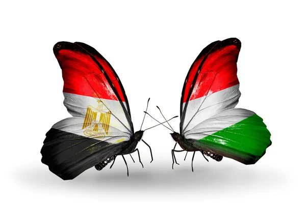 Papillons avec des drapeaux de l'Egypte et de la Hongrie — Photo
