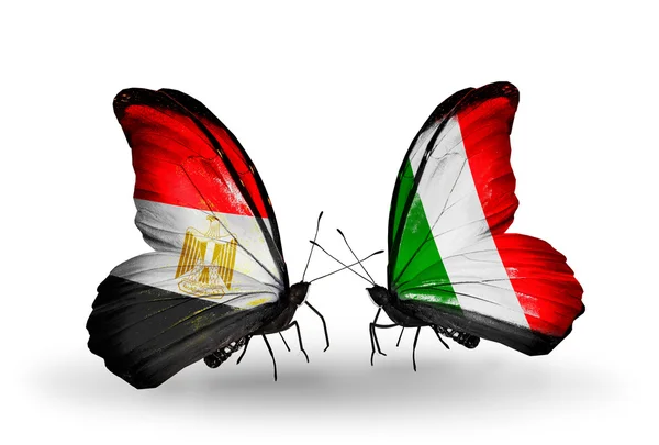 Butterflies with Egypt and Italy flags on wings — Stock Photo, Image