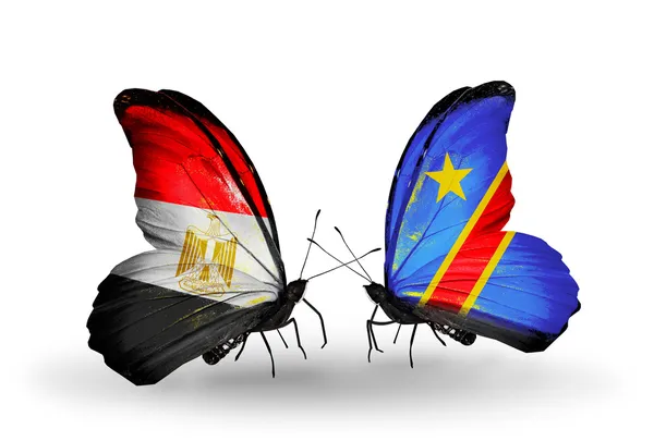 Butterflies with Egypt and Kongo flags on wings — Stock Photo, Image