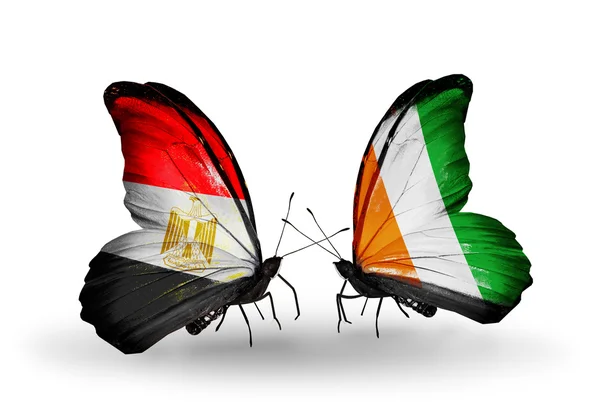 Papillons avec drapeaux Egypte et Côte Divoire sur les ailes — Photo