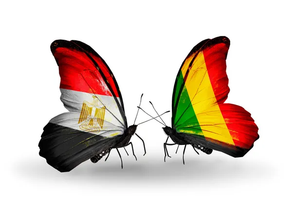 Motýli s Egyptem a mali vlajky na křídlech — Stock fotografie