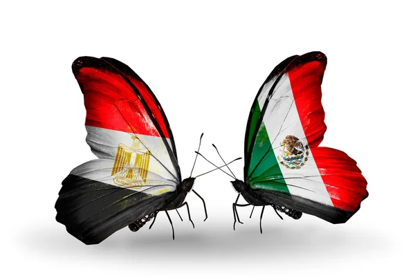 Butterflies with Egypt and Mexico flags on wings — Stock Photo, Image