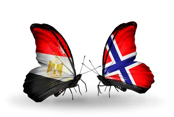 蝴蝶翅膀上的埃及和挪威国旗 — 图库照片