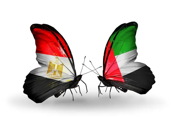 Butterflies with Egypt and United Arab  flags on wings — Stock Photo, Image