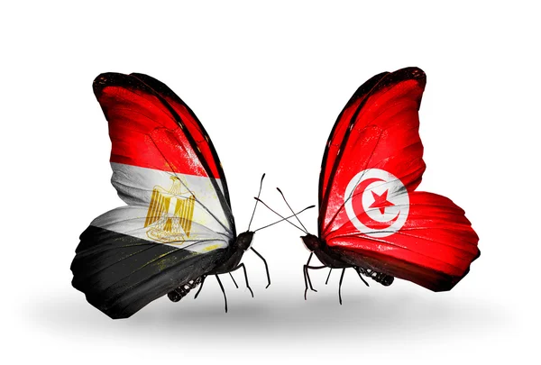 Butterflies with Egypt and Tunisia flags on wings — Stock Photo, Image