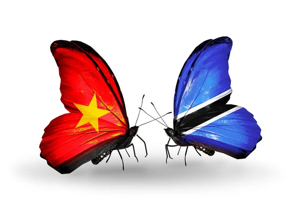 Бабочки с флагами Вьетнама и Ботсваны на крыльях — стоковое фото