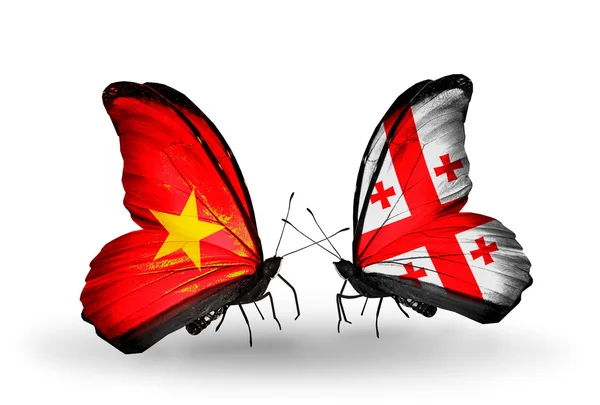 ベトナムおよびジョージアの旗で 2 匹の蝶 — ストック写真