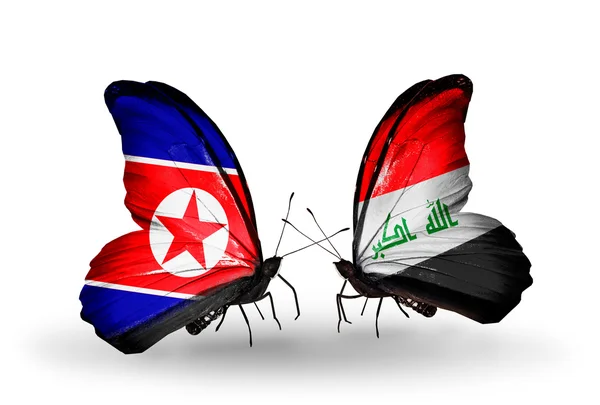 Motýli se Severní Koreou a Iráku vlajek na křídlech — Stock fotografie