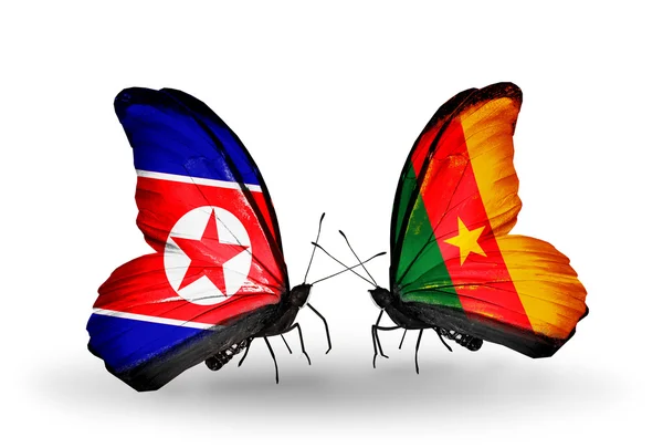 Fjärilar med Nordkorea och Kamerun flaggor på vingar — Stockfoto