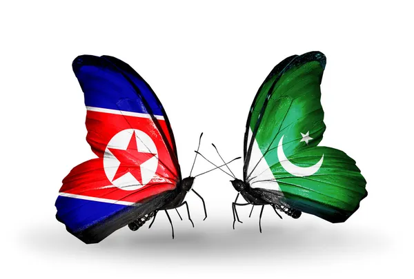 Motýli se Severní Koreou a Pákistán vlajek na křídlech — Stock fotografie