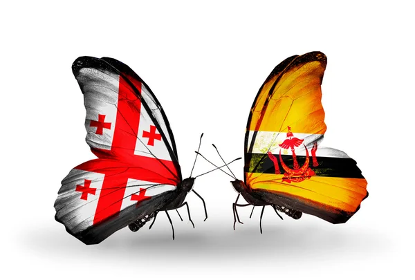 Papillons avec des drapeaux de Géorgie et Brunei sur les ailes — Photo