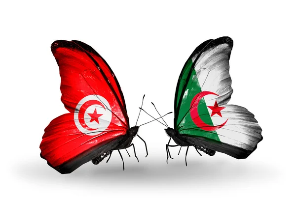 Borboletas com bandeiras Tunísia e Argélia em asas — Fotografia de Stock