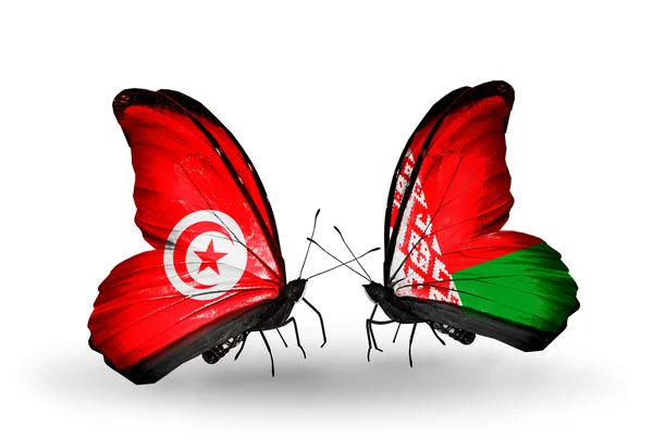 Farfalle con bandiere Tunisia e Bielorussia sulle ali — Foto Stock