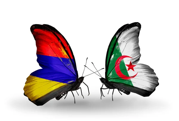 Butterflies with Armenia and Algeria flags on wings — Stock Photo, Image