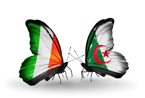 Schmetterlinge mit irischen und algerischen Flaggen auf Flügeln — Stockfoto