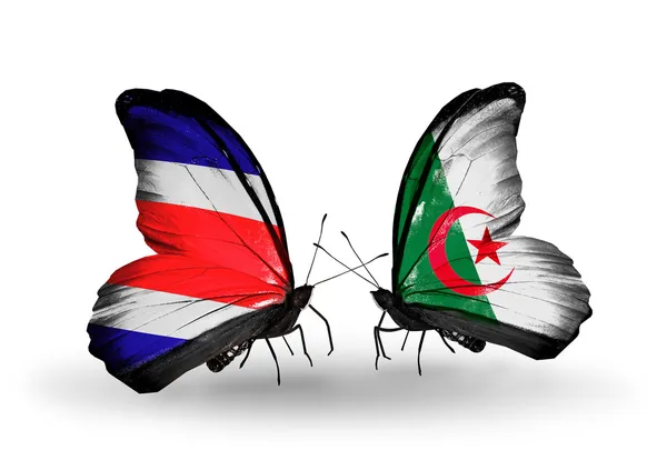 Butterflies with Costa Rica and Algeria flags on wings — Stock Photo, Image