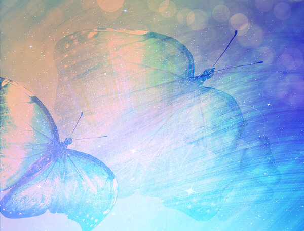 Солнечный свет с бабочкой
