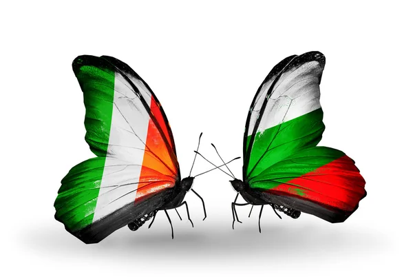 Butterflies with Ireland and Bulgaria flags on wings — Stock Photo, Image