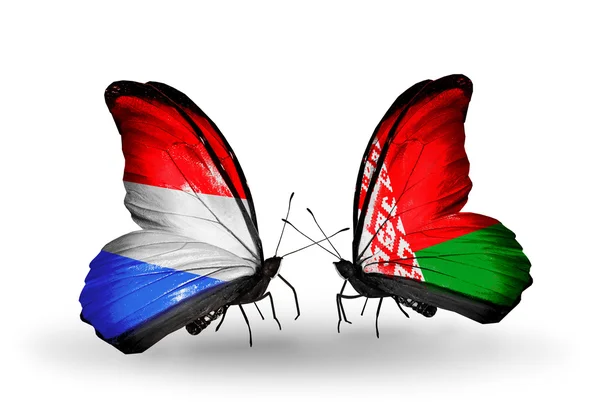 Motýli s Lucemburskem a Bělorusko vlajky na křídlech — Stock fotografie