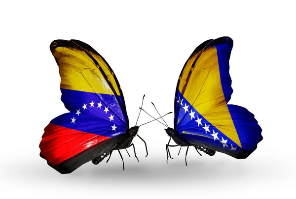 Butterflies with Venezuela and Bosnia and Herzegovina flags on wings — Stock Photo, Image