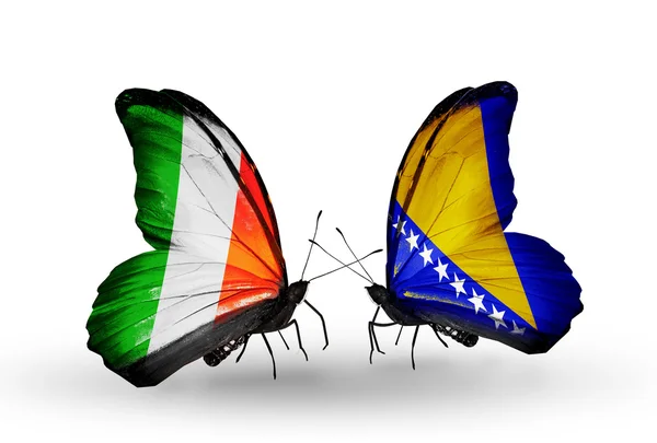 Butterflies with Ireland and Bosnia and Herzegovina flags on wings — Stock Photo, Image