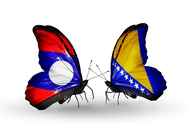 Vlinders met laos en Bosnië en herzegovina vlaggen op vleugels — Stockfoto