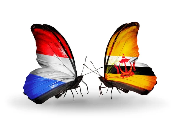 Butterflies with Luxembourg and Brunei flags on wings — Stock Photo, Image