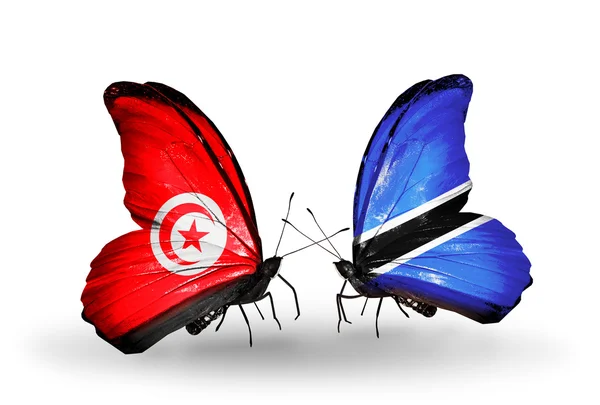 Butterflies with Tunisia and Botswana flags on wings — Stock Photo, Image
