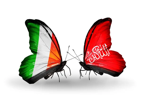 蝴蝶翅膀上的爱尔兰和瓦济里斯坦的标志 — 图库照片