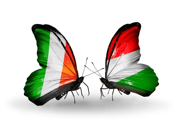 Butterflies with  Ireland and Hungary flags on wings — Stock Photo, Image