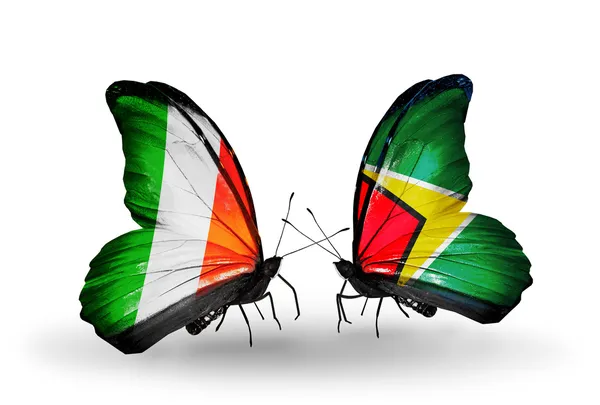 Farfalle con bandiere Irlanda e Guyana sulle ali — Foto Stock