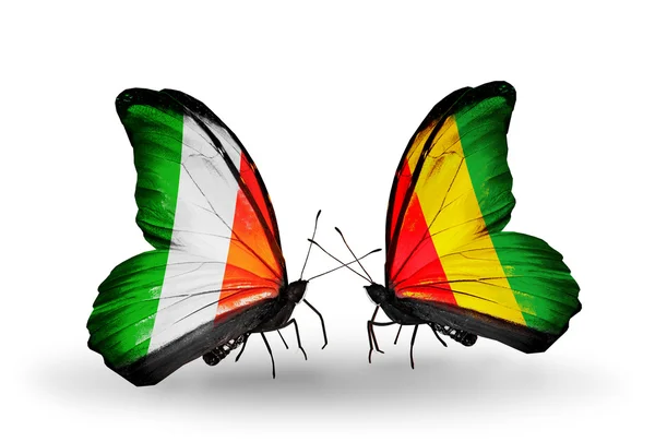 Butterflies with Ireland and Guinea flags on wings — Stock Photo, Image