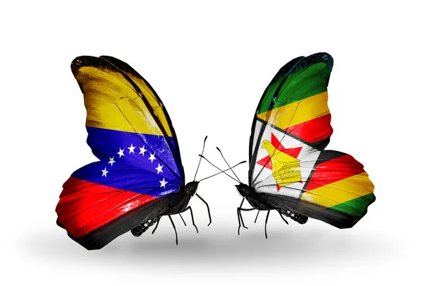 Schmetterlinge mit Venezuela und Zimbabwe Fahnen auf Flügeln — Stockfoto