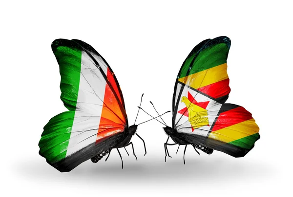 Butterflies with Ireland and Zimbabwe flags on wings — Stock Photo, Image