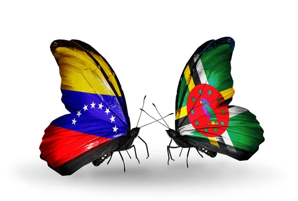 Бабочки с флагами Венесуэлы и Доминики на крыльях — стоковое фото
