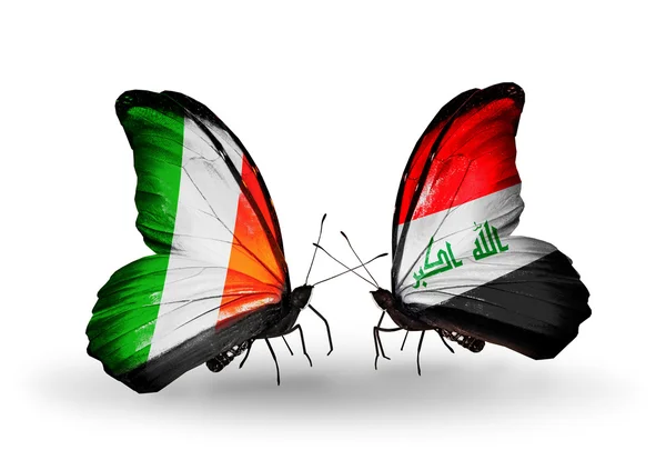 Motyle z Irlandii i Iraku flagi na skrzydłach — Zdjęcie stockowe