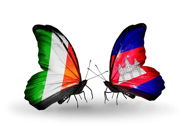 Farfalle con bandiere Irlanda e Camerun sulle ali — Foto Stock