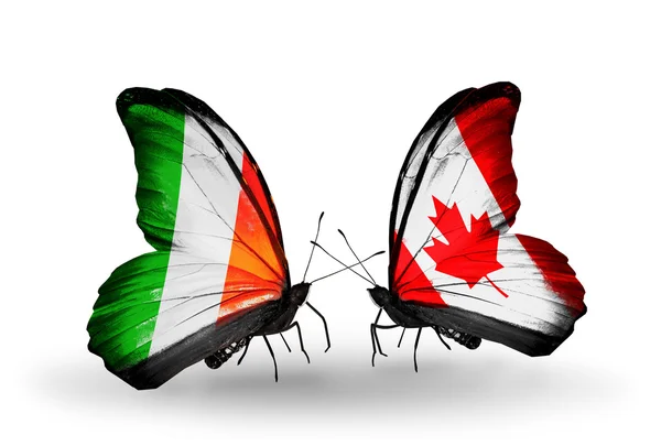 Motýli s Irskem a Kanada vlajky na křídlech — Stock fotografie