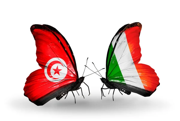 Butterflies with Tunisia and Ireland flags on wings — Stock Photo, Image